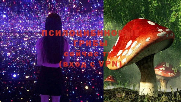 гидропоника Бронницы