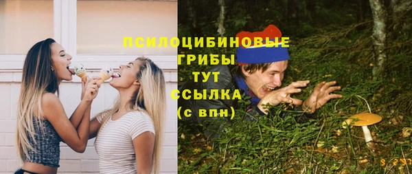 mdma Бородино