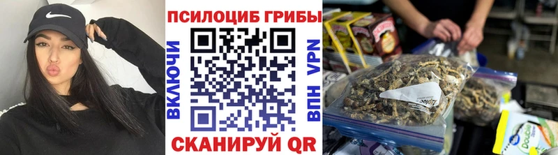 Псилоцибиновые грибы мицелий купить наркотик Севастополь